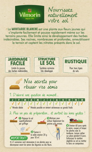Engrais verts - Engrais vert Moutarde blanche - BIO - Grand Modèle  - MEDIA_PACKAGING_VERSO